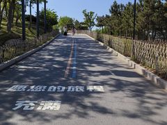 -小麦岛公园