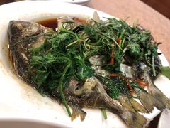 -揭阳钟记小食(福田新村店)