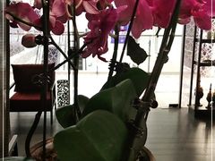 -LANN I 蘭 泰式古法按摩(徐家汇城开YOYO店)