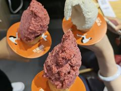 -野人先生现做冰淇淋(北京顺义祥云小镇店)