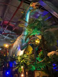 -恐龙探索乐园(磁器口店)