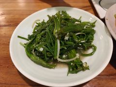 清炒水性杨花-紫滇源云南生态菜(丹凤街店)