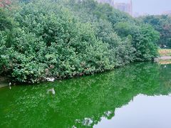 -深圳国际园林花卉博览园