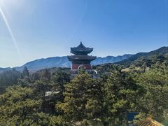 -清东陵