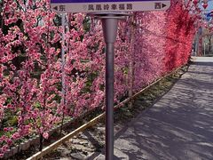 -北京凤凰岭