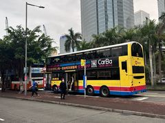 -Big Bus Tours 敞篷观光巴士