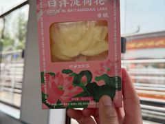 -白洋淀景区