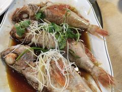 -张记旺角食街(动物园店)