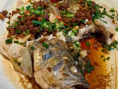 -新白鹿餐厅(银泰西湖文化广场店)
