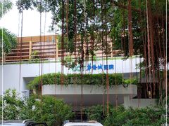 -深圳华侨城医院