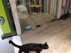 -小时光咖啡馆(开森度假森林店)