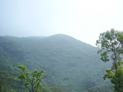 -东莞市大岭山森林公园