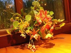 -IFIF 如果花園(宽厚里店)