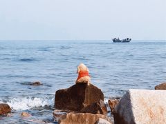 -青岛石老人海水浴场