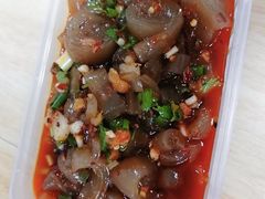 -爪爪西施