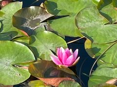 -玄武湖景区-情侣园游乐场