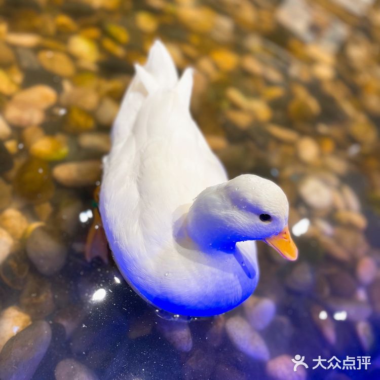 Zoolung zoolung史上最强攻略💕💕💕