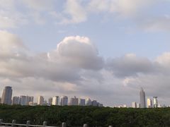-深圳湾公园(南山区)