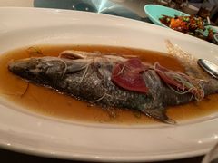 清蒸鲥鱼-夜上海(新天地店)