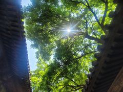 -嵩祝寺及智珠寺