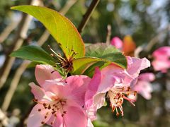 -白鹭湾湿地公园
