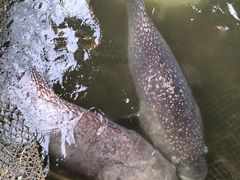 -蓝湾碧波·老字号·疍家非遗海上餐厅