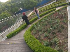 -北外滩滨江绿地