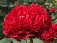 -人民公园(罗湖区)