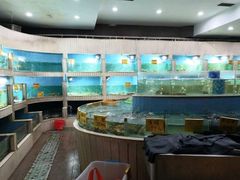 水产区-万家宴海鲜大酒楼(五四路店)