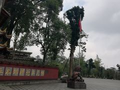 -峨眉山报国寺