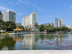 -荔湾湖公园