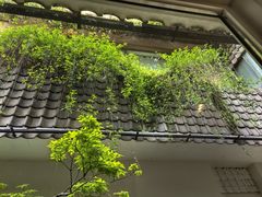 -花迹(富春江东街店)