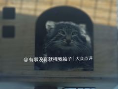 -青藏高原野生动物园