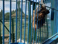 -鄂尔多斯野生动物园