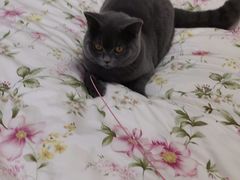 -宠颐生动物医院·心脏科·保险定点(锦阳分院)