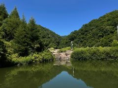 -天女山森林公园