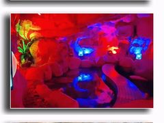 -广州白水寨嘉华温泉酒店