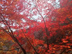 -丹东凤凰山景区