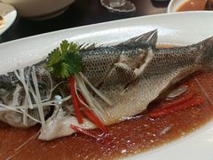 -耗子洞老张鸭子(宽窄店)