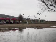 -青海湖国家重点风景名胜区