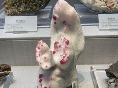 -湖南省地质博物馆