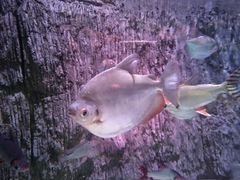 -多彩贵州城极地海洋世界