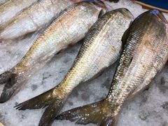 -阳光海鲜城(太仓万达店)
