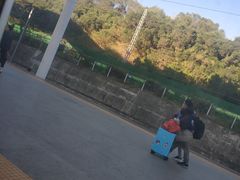 -莆田站