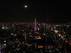 -六本木新城展望台(东京城市景观)