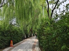 -南翠屏公园