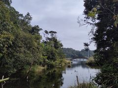 -海南热带雨林国家公园吊罗山景区