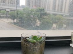 点击看大图 -尚艺造型.剪烫染.接发