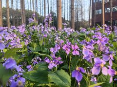 -上海交通大学闵行校区-包玉刚图书馆