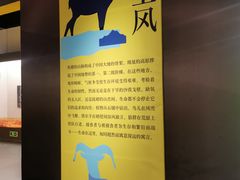 -浙江自然博物院(杭州馆)